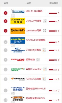 十大熱門輪胎品牌網店名單- 綜合新聞- 中國輪胎商業網